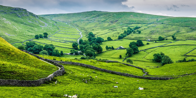 The rolling hills of the Yorkshire Dales